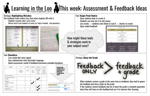 Learning in the Loo Assessment Feedback